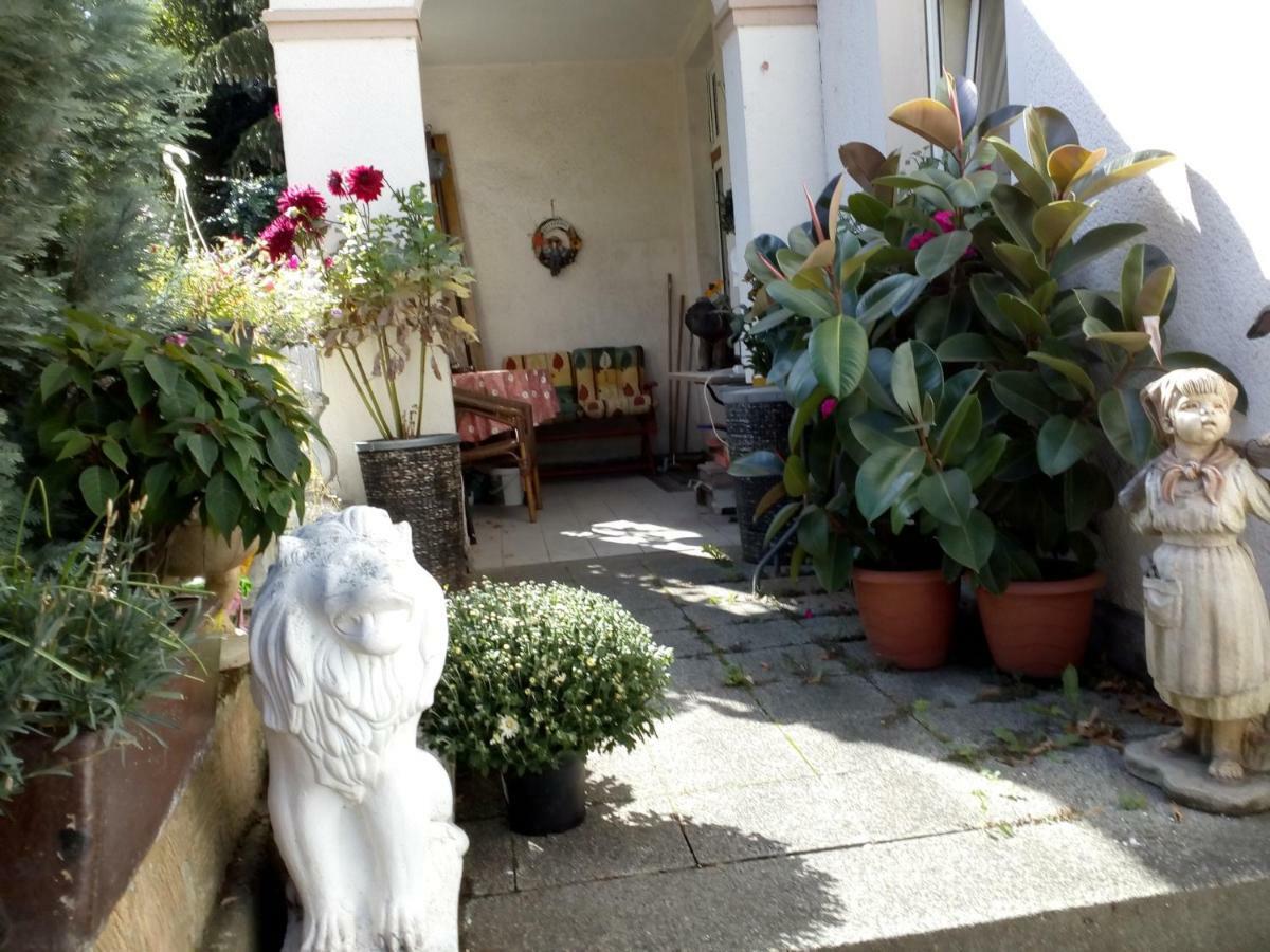 Dach-Studio-Runkel Schadecker Strasse 6 Exteriör bild