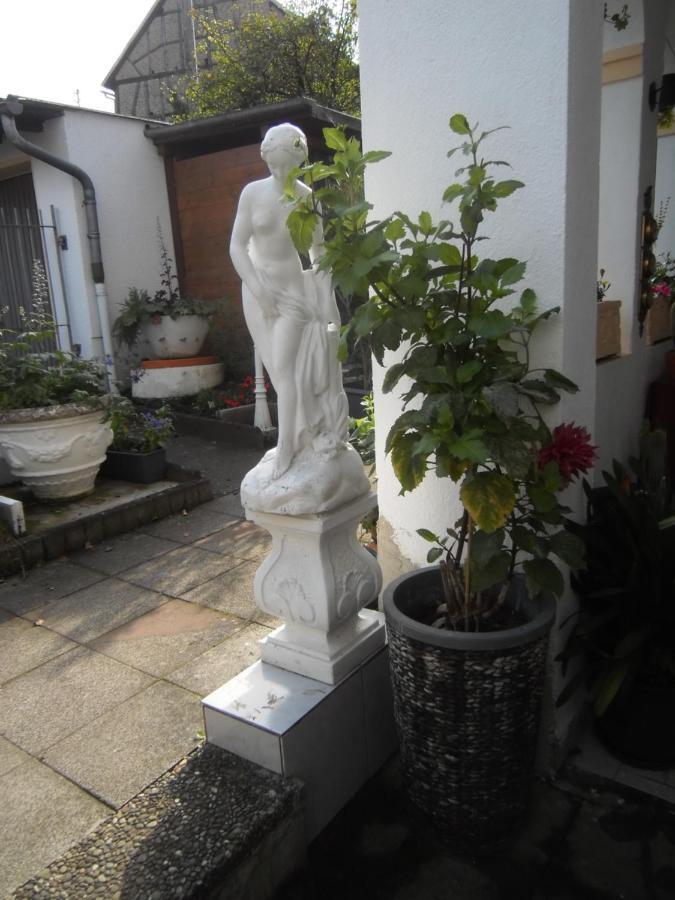 Dach-Studio-Runkel Schadecker Strasse 6 Exteriör bild